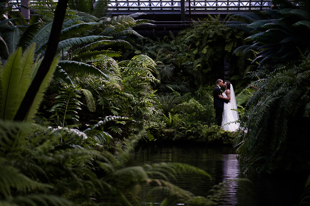 Wedding portrait inside a conservatory.